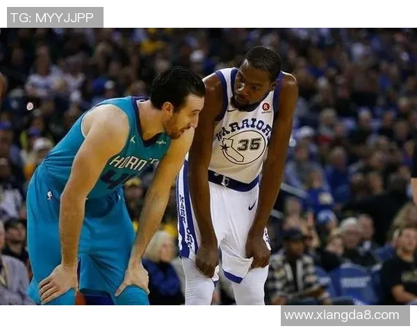 黄蜂如何增强未来竞争力