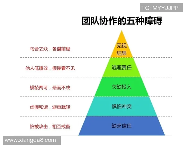 全方位解析体育运动对身体健康、心理素质及团队协作能力的深远影响