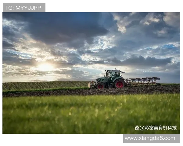 打造全球化商务生态系统：创新策略与企业转型的关键路径分析