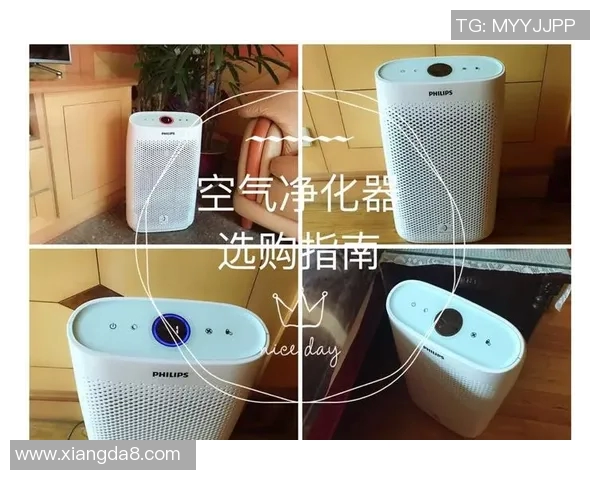 空气净化器选购指南与使用技巧提升室内空气质量的实用方法