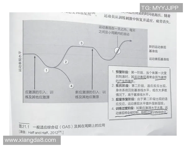 网球运动员如何通过科学训练提升竞技水平与心理素质的全面分析 网球运动员如何通过科学训练提升竞技水平与心理素质的全面分析