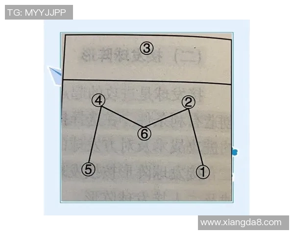 南京排球队快攻战术解析与深度剖析排球竞技的魅力与技巧